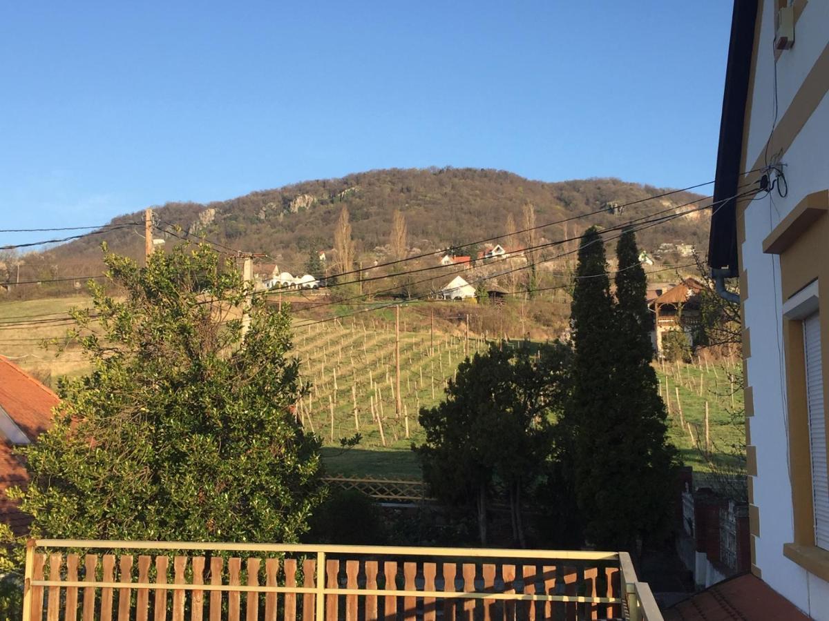 Apartment Bacchus - Borbarlang, Badacsony