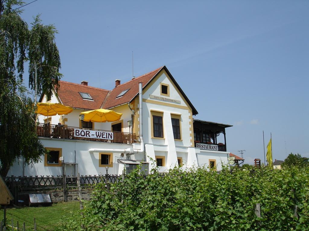 Bacchus - Borbarlang, Badacsony