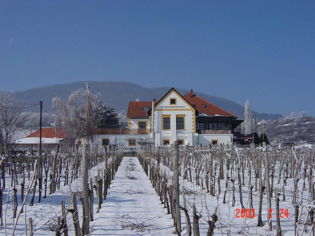 Bacchus - Borbarlang, Badacsony Apartment *