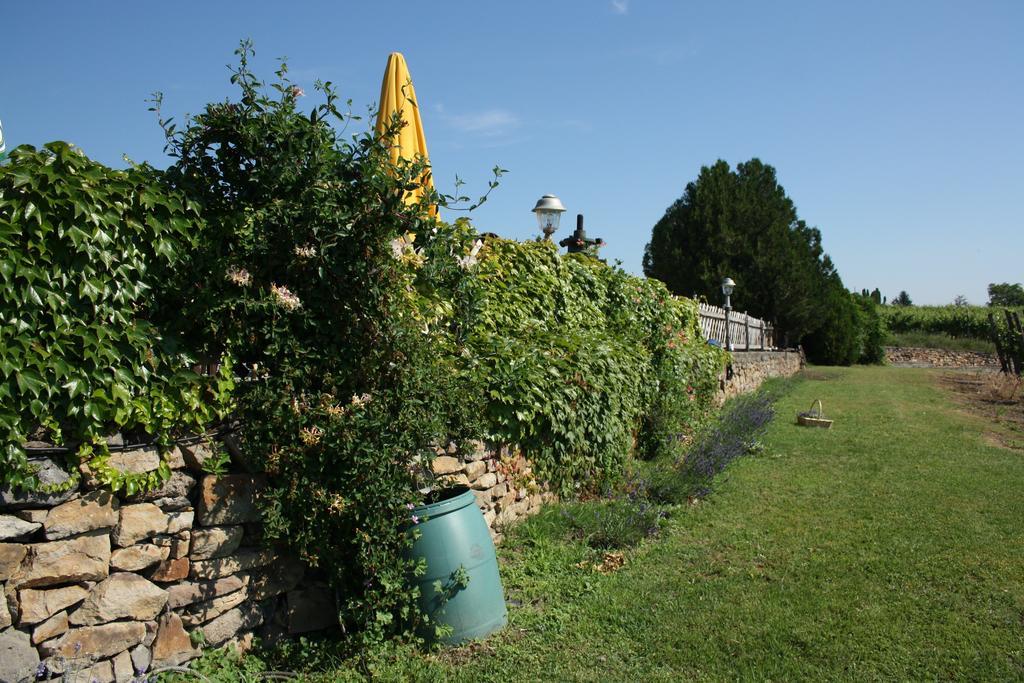 Appartement Bacchus - Borbarlang, Badacsony Bytom