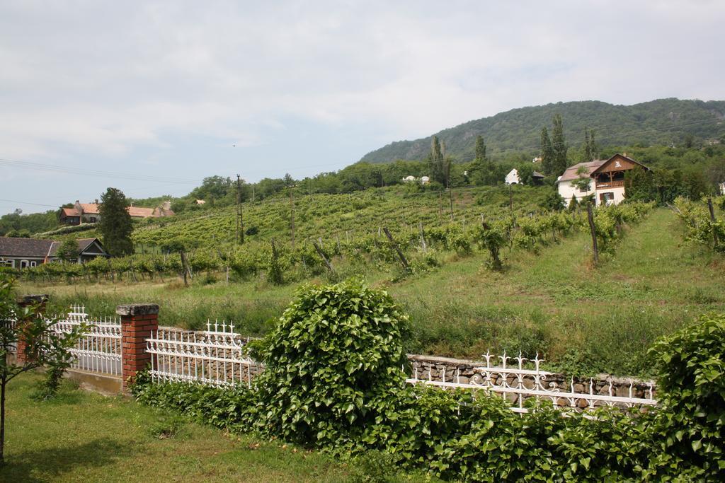 Apartment Bacchus - Borbarlang, Badacsony