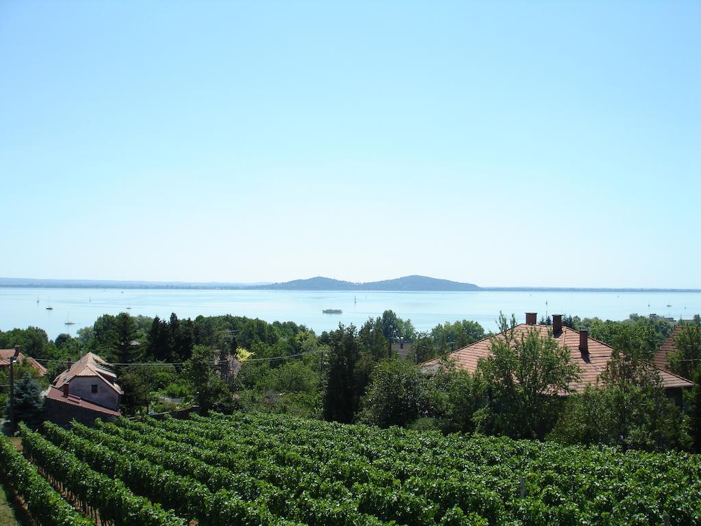 Bacchus - Borbarlang, Badacsony