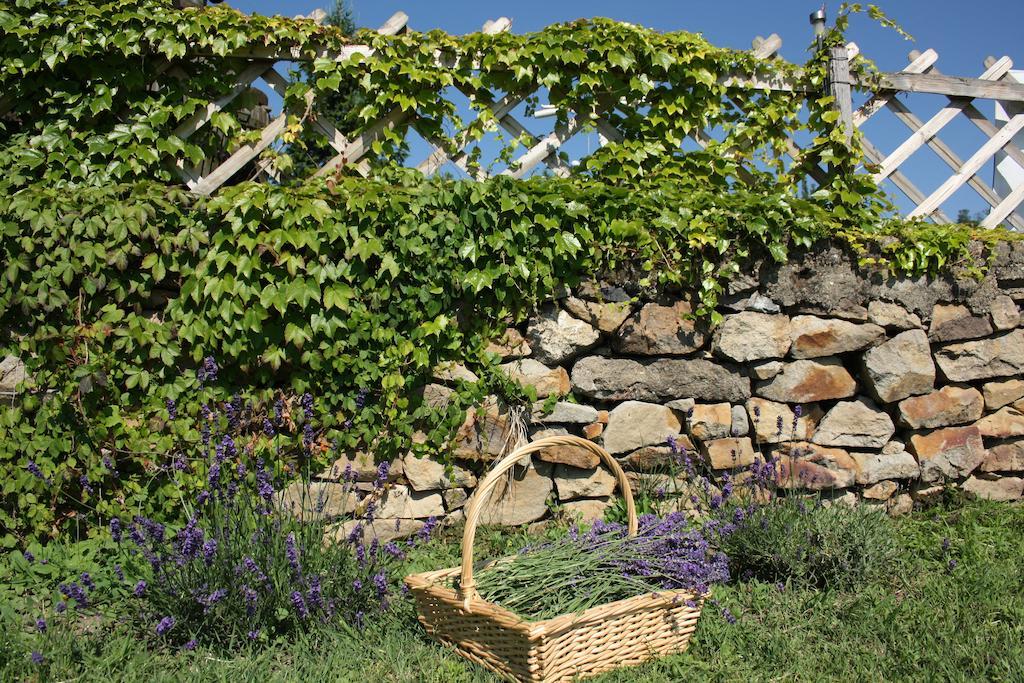 Appartement Bacchus - Borbarlang, Badacsony *