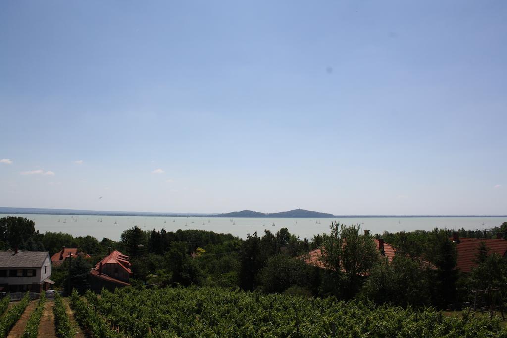 Appartement Bacchus - Borbarlang, Badacsony *