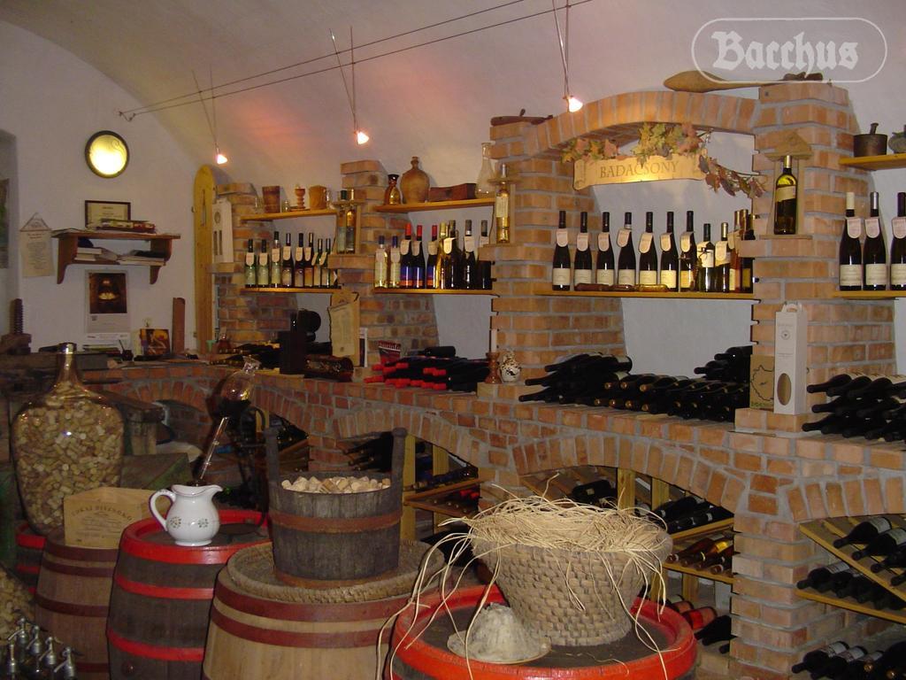 Apartment Bacchus - Borbarlang, Badacsony Badacsonytomaj