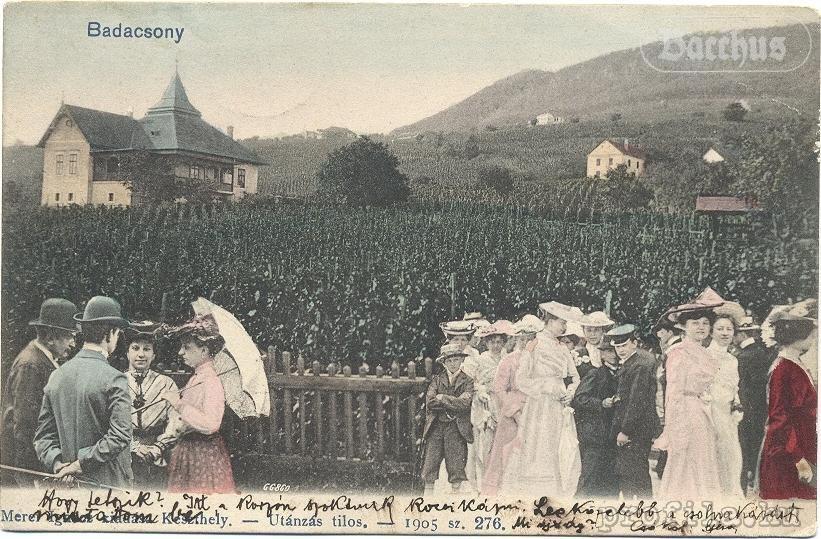 Bacchus - Borbarlang, Badacsony Badacsonytomaj